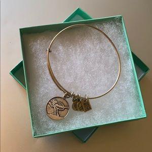 Team USA Ski bracelet